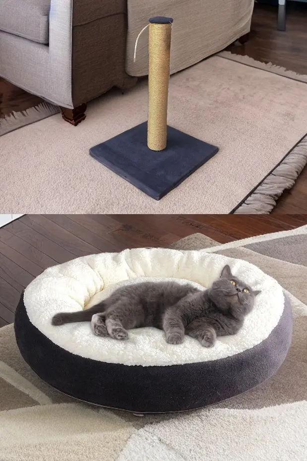 Lüks Kapalı Kedi Tuvaleti Taşıma Sepet Yatak Tırmlama Paspas 3 Katlı Oyunck Kedi Başlangıç Seti-lkt2